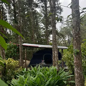 Unique & Affordable Glamping Camping *