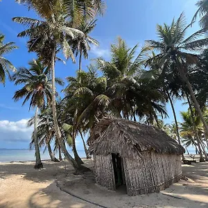 Iguana Island San Blas Daire *