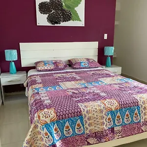 El Carmen Bed & Breakfast *