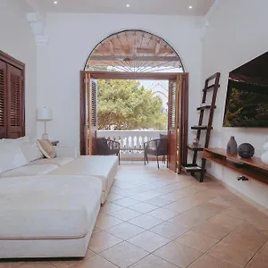 Stunning Terrace Hidden Among Ruins Ofcascoviejo Panama City